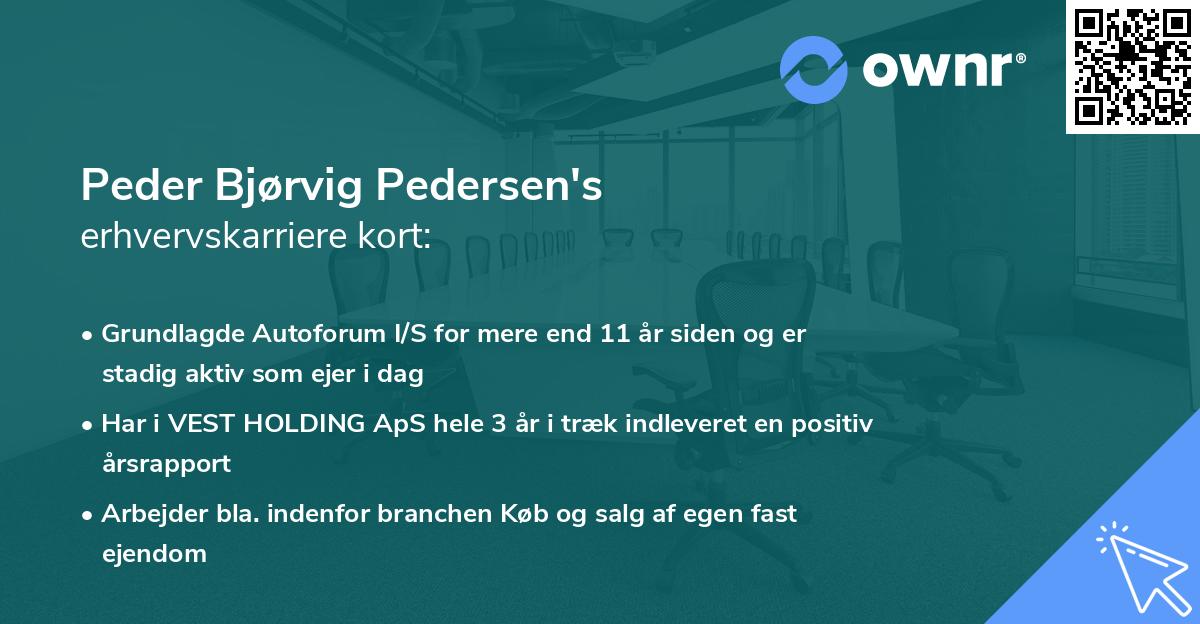 Peder Bjørvig Pedersen's erhvervskarriere kort
