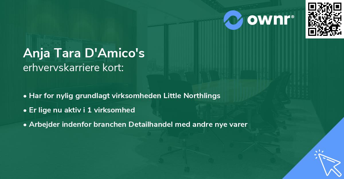 Anja Tara D'Amico's erhvervskarriere kort