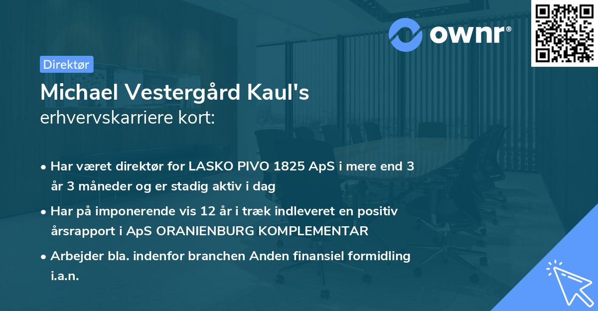 Michael Vestergård Kaul's erhvervskarriere kort