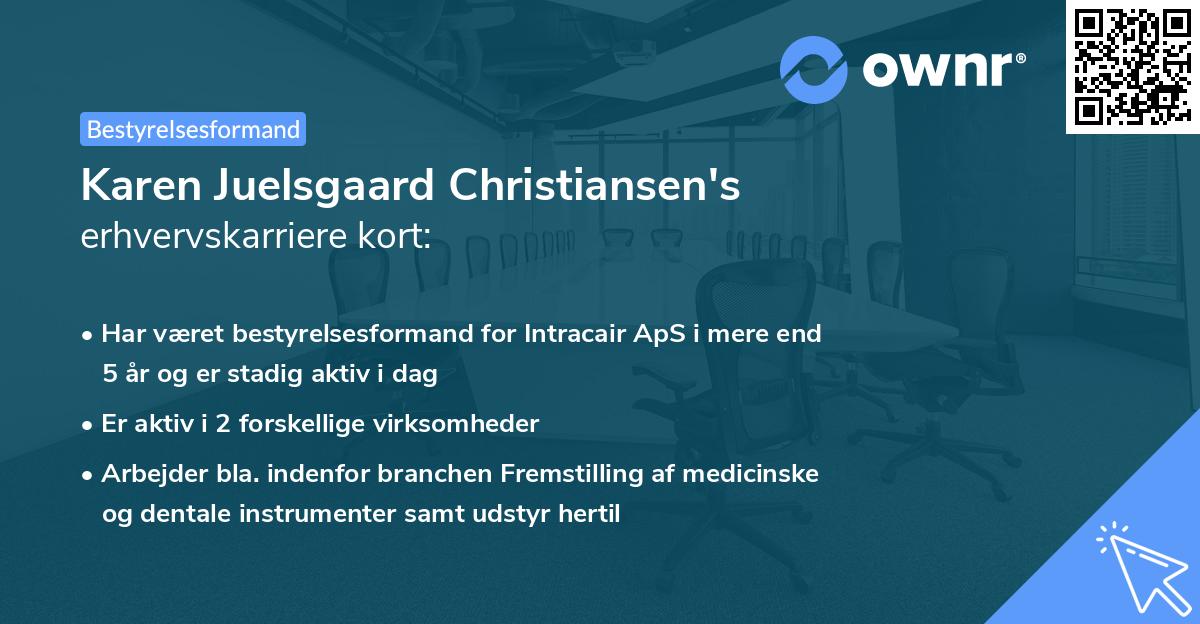Karen Juelsgaard Christiansen's erhvervskarriere kort