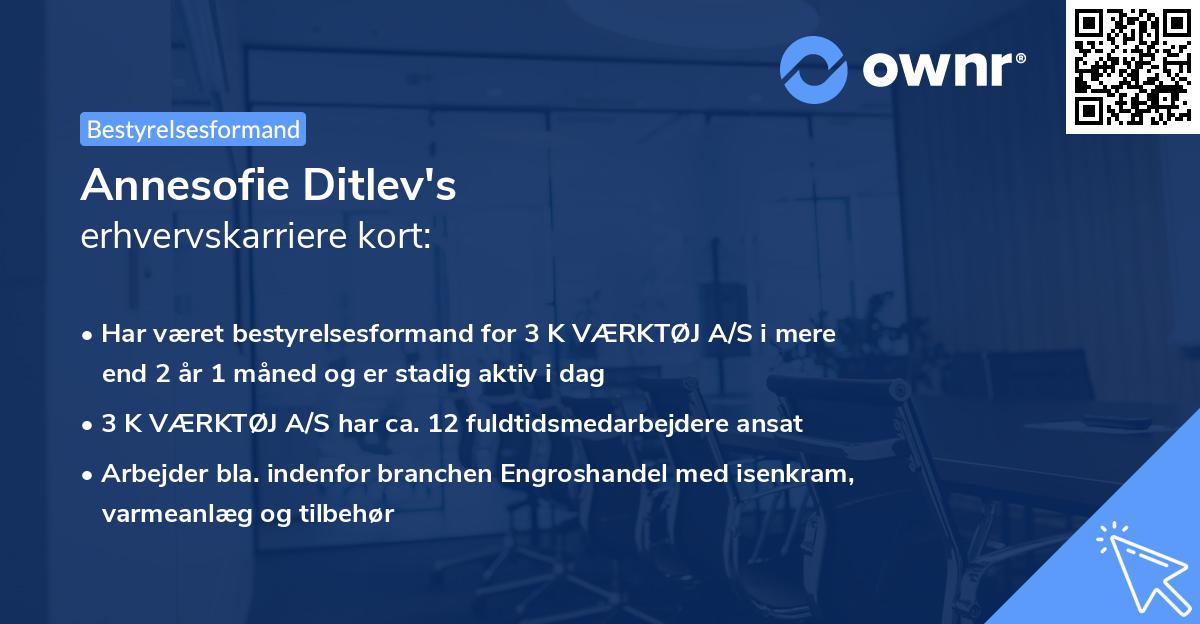 Annesofie Ditlev's erhvervskarriere kort