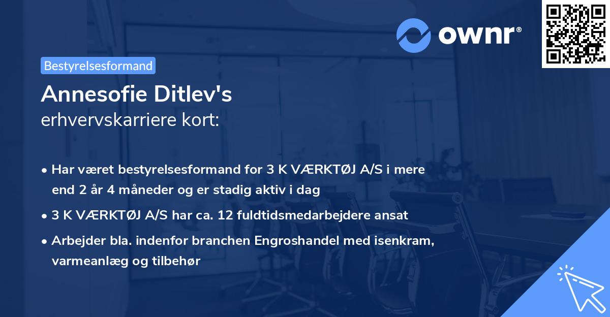 Annesofie Ditlev's erhvervskarriere kort