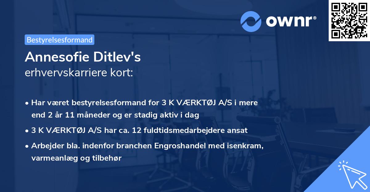 Annesofie Ditlev's erhvervskarriere kort