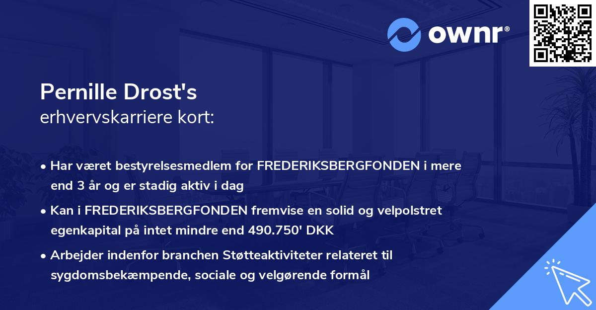 Pernille Drost's erhvervskarriere kort