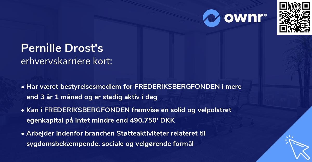 Pernille Drost's erhvervskarriere kort