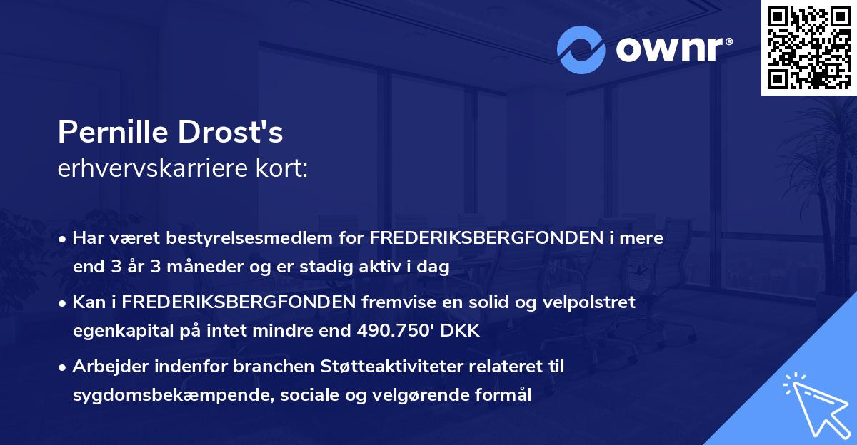 Pernille Drost's erhvervskarriere kort