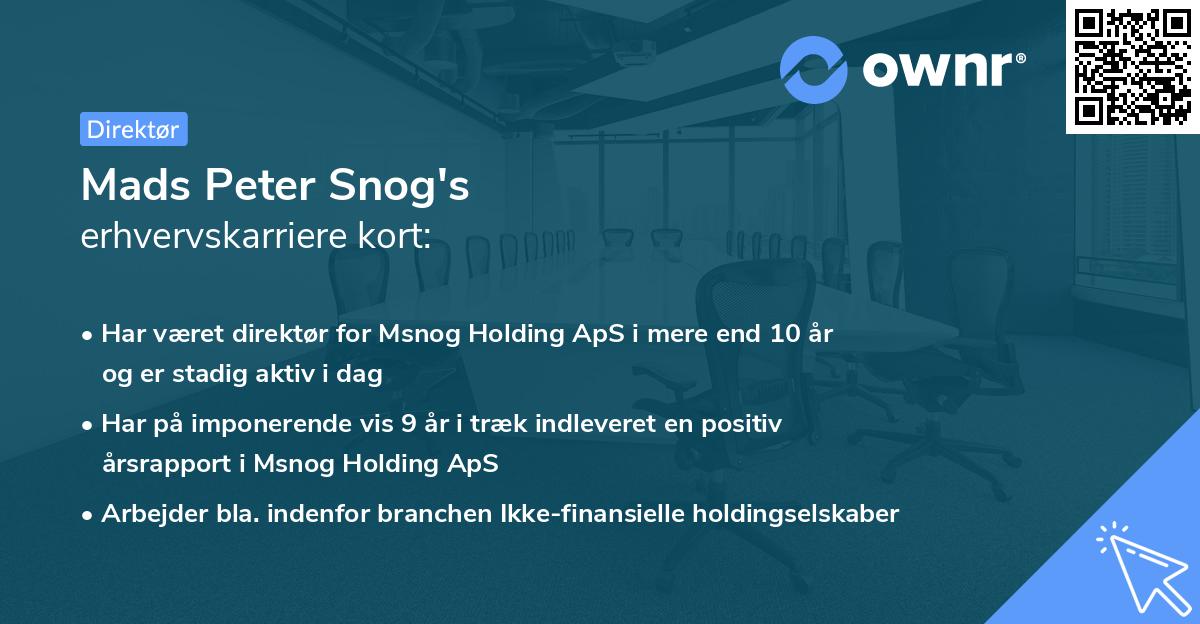 Mads Peter Snog's erhvervskarriere kort