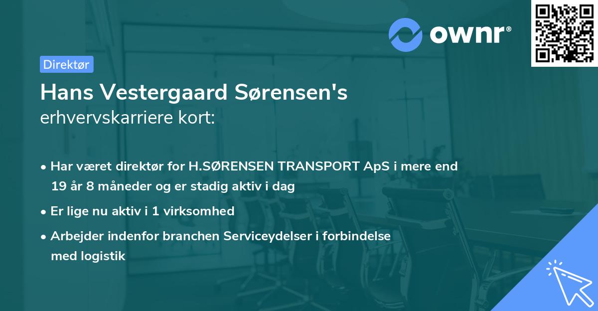 Hans Vestergaard Sørensen's erhvervskarriere kort