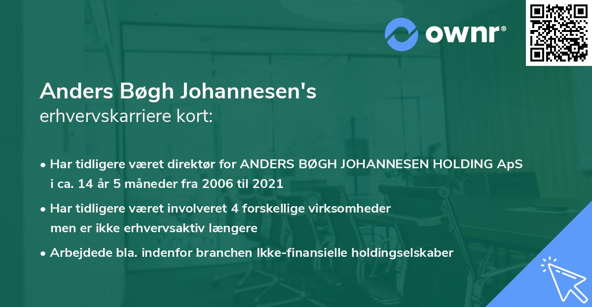 Anders Bøgh Johannesen's erhvervskarriere kort