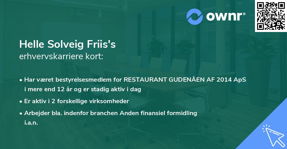 Helle Solveig Friis's erhvervskarriere kort