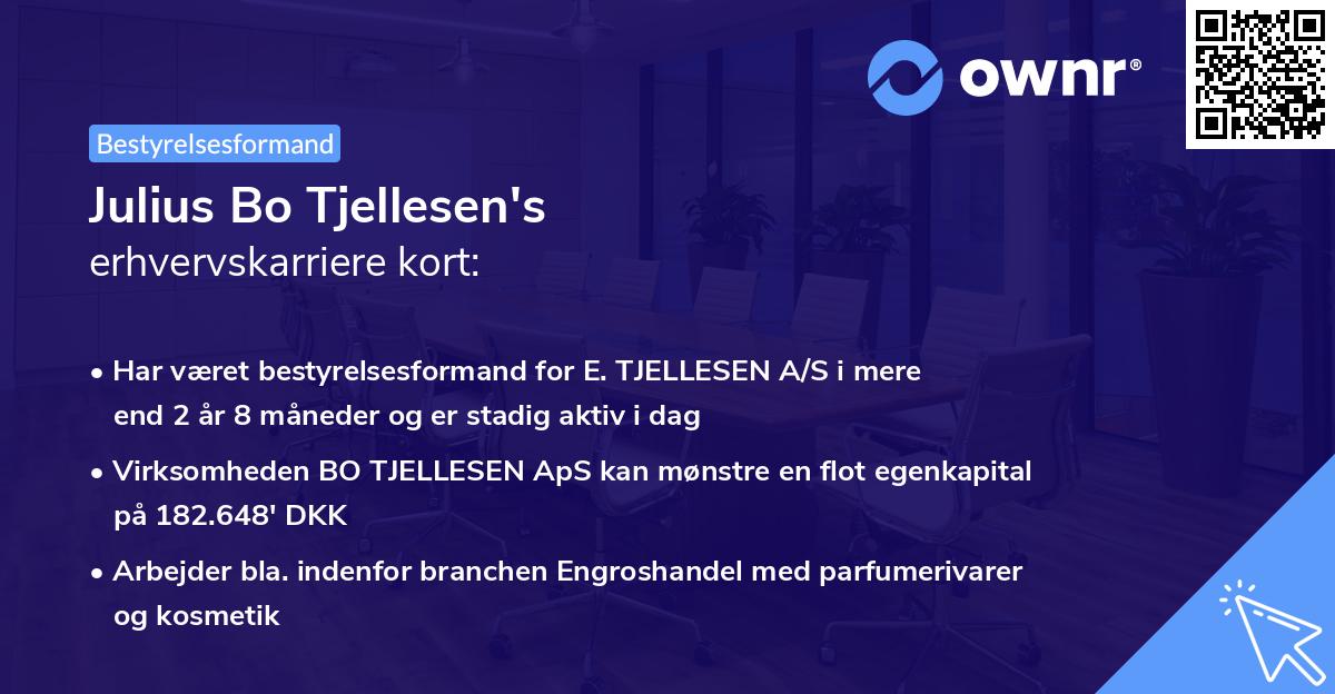 Julius Bo Tjellesen's erhvervskarriere kort