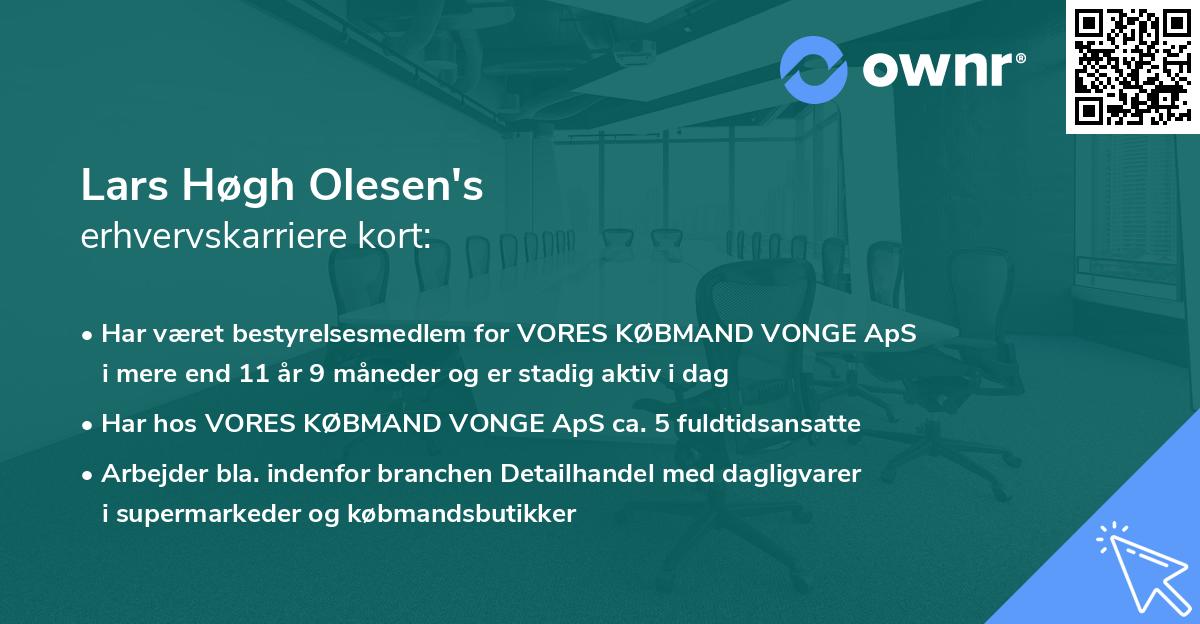 Lars Høgh Olesen's erhvervskarriere kort