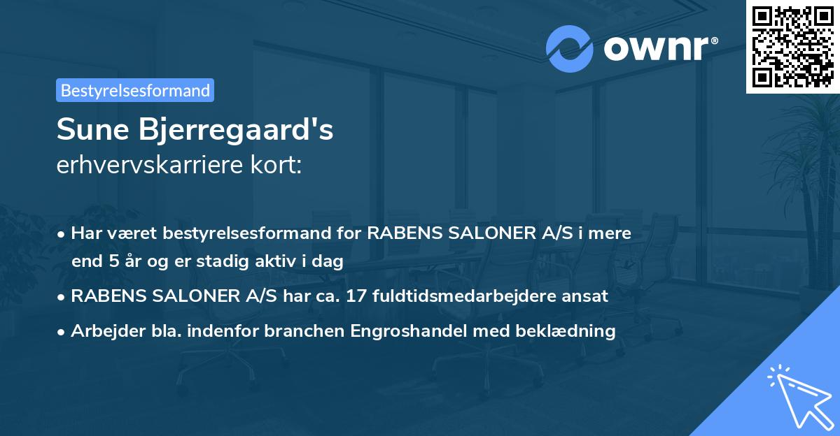 Sune Bjerregaard's erhvervskarriere kort