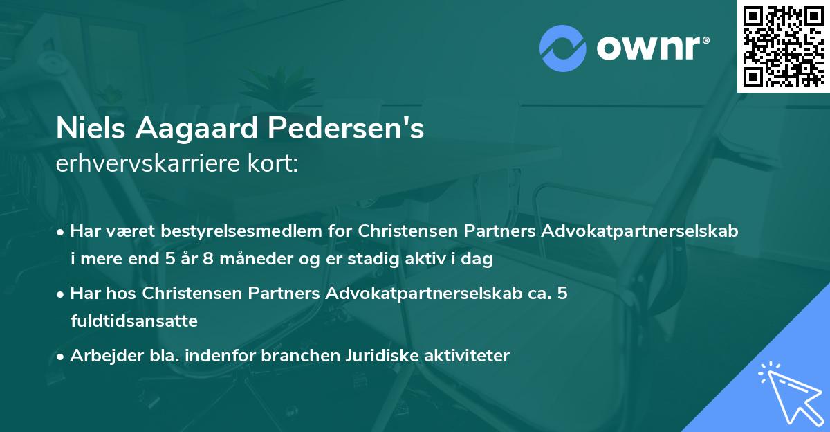 Niels Aagaard Pedersen's erhvervskarriere kort
