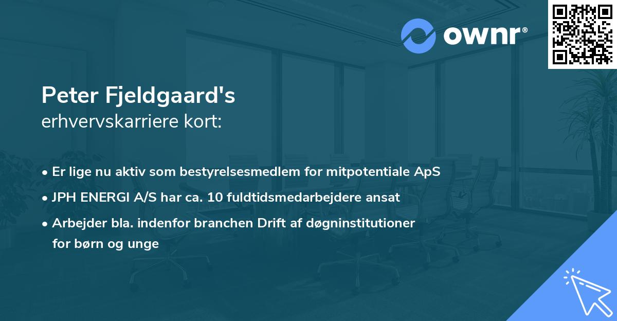 Peter Fjeldgaard's erhvervskarriere kort