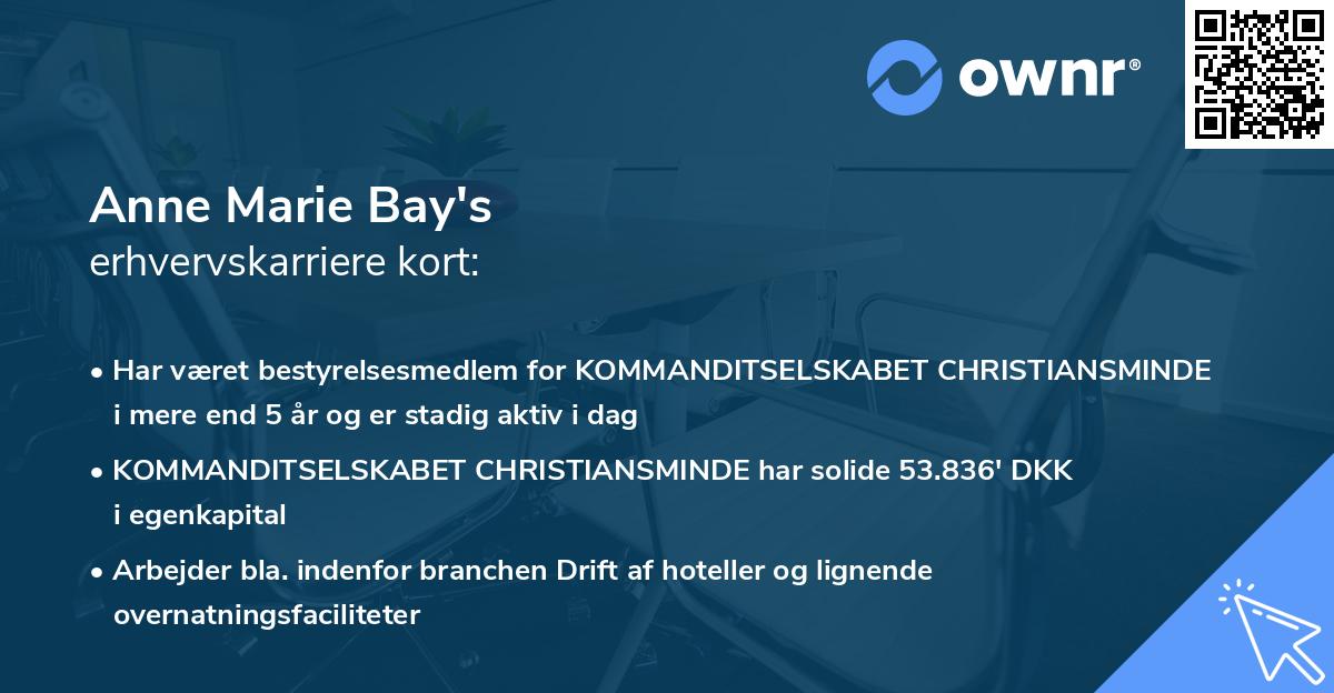 Anne Marie Bay's erhvervskarriere kort