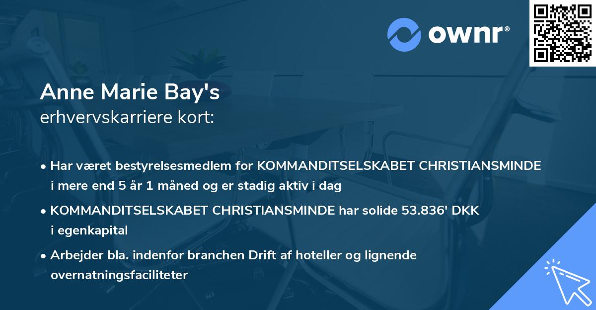 Anne Marie Bay's erhvervskarriere kort