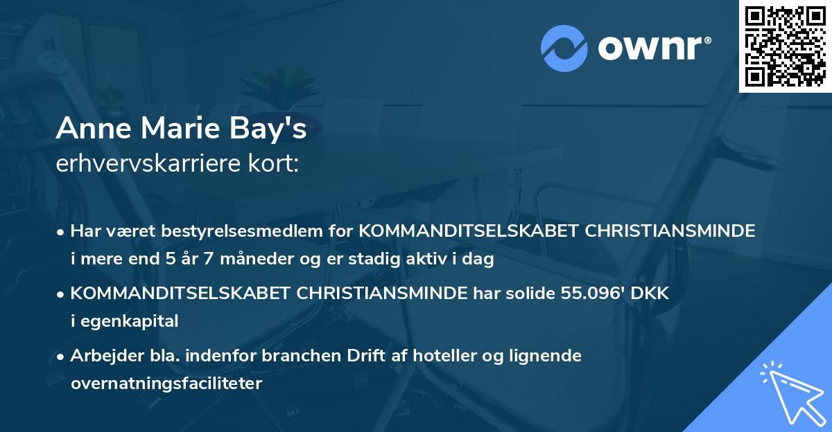 Anne Marie Bay's erhvervskarriere kort