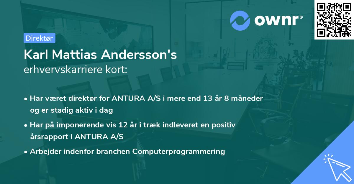 Karl Mattias Andersson's erhvervskarriere kort