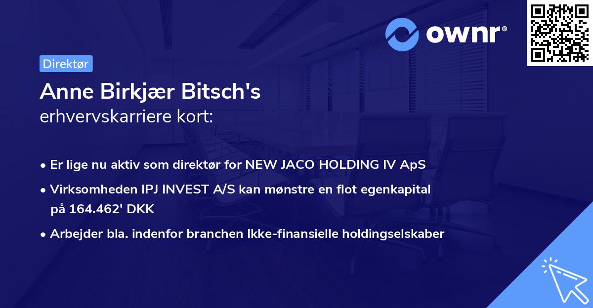 Anne Birkjær Bitsch's erhvervskarriere kort
