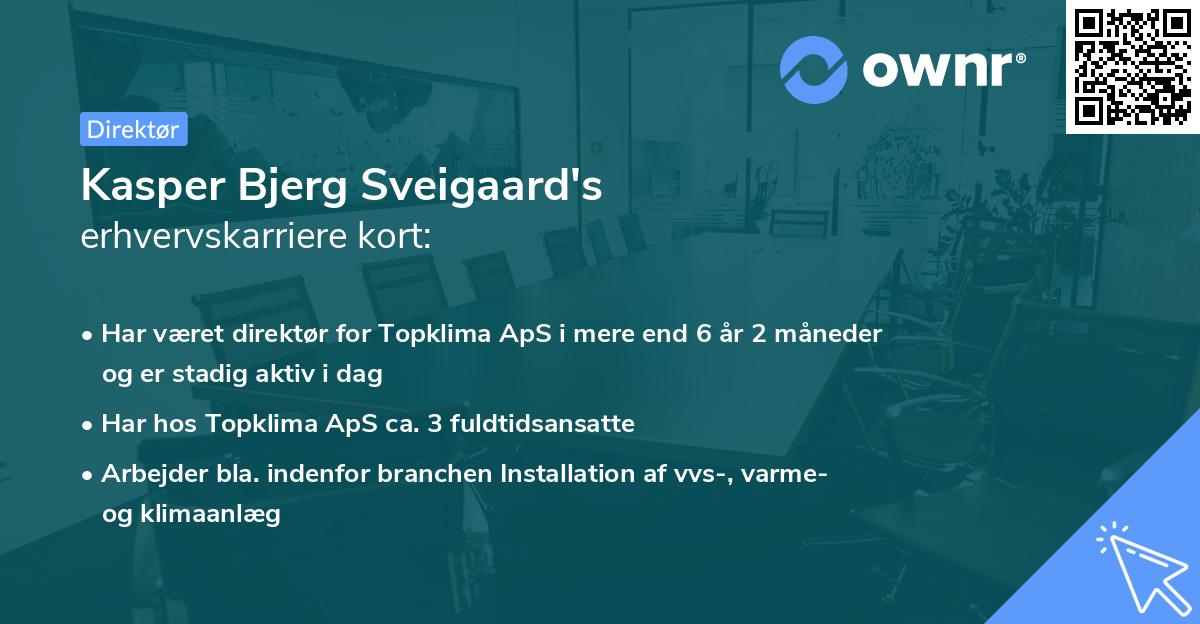 Kasper Bjerg Sveigaard's erhvervskarriere kort