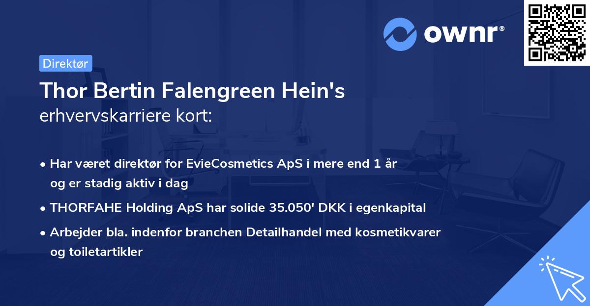 Thor Bertin Falengreen Hein's erhvervskarriere kort