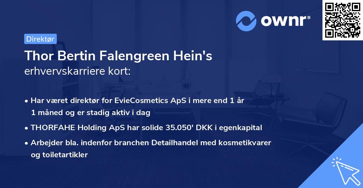 Thor Bertin Falengreen Hein's erhvervskarriere kort