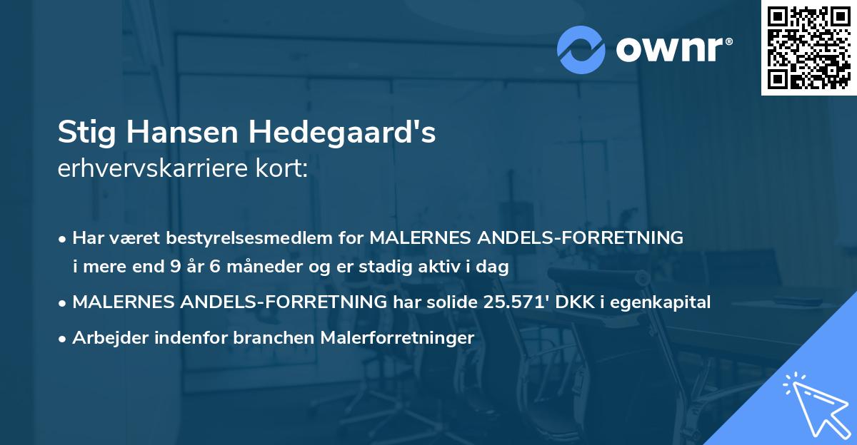 Stig Hansen Hedegaard's erhvervskarriere kort