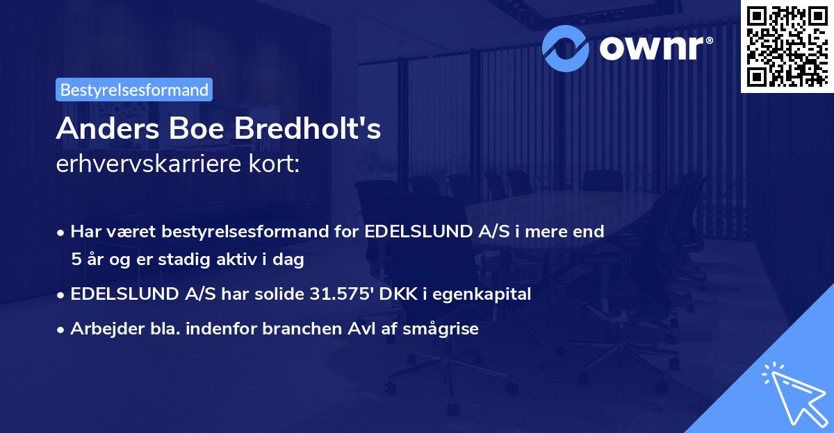 Anders Boe Bredholt's erhvervskarriere kort