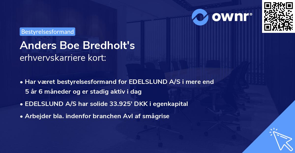 Anders Boe Bredholt's erhvervskarriere kort