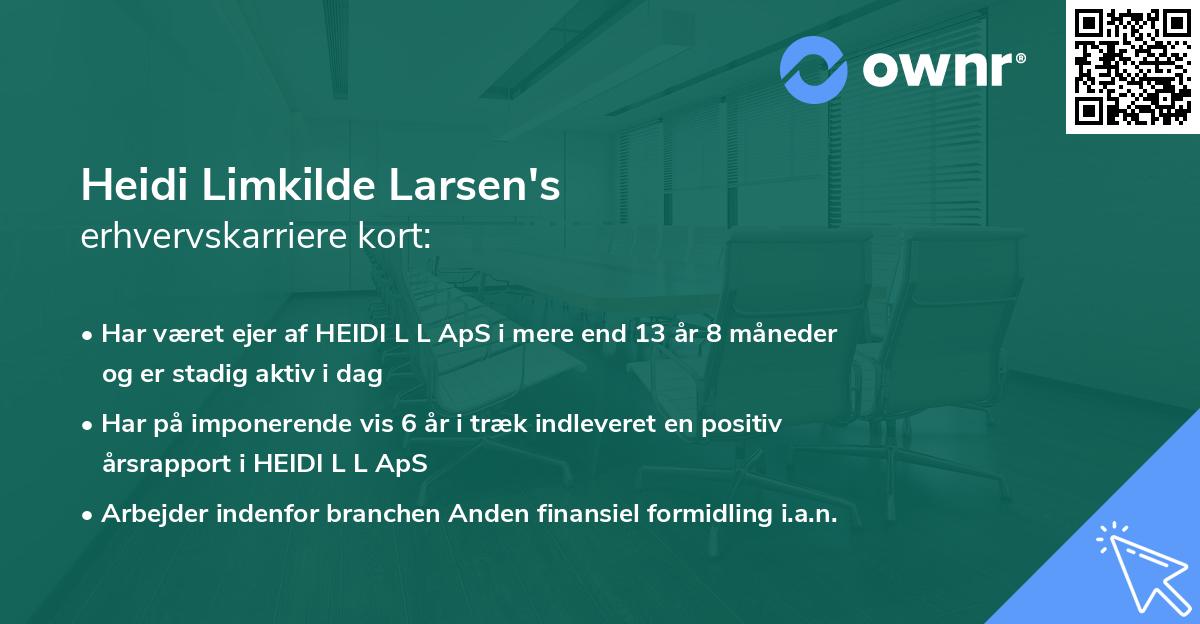 Heidi Limkilde Larsen's erhvervskarriere kort