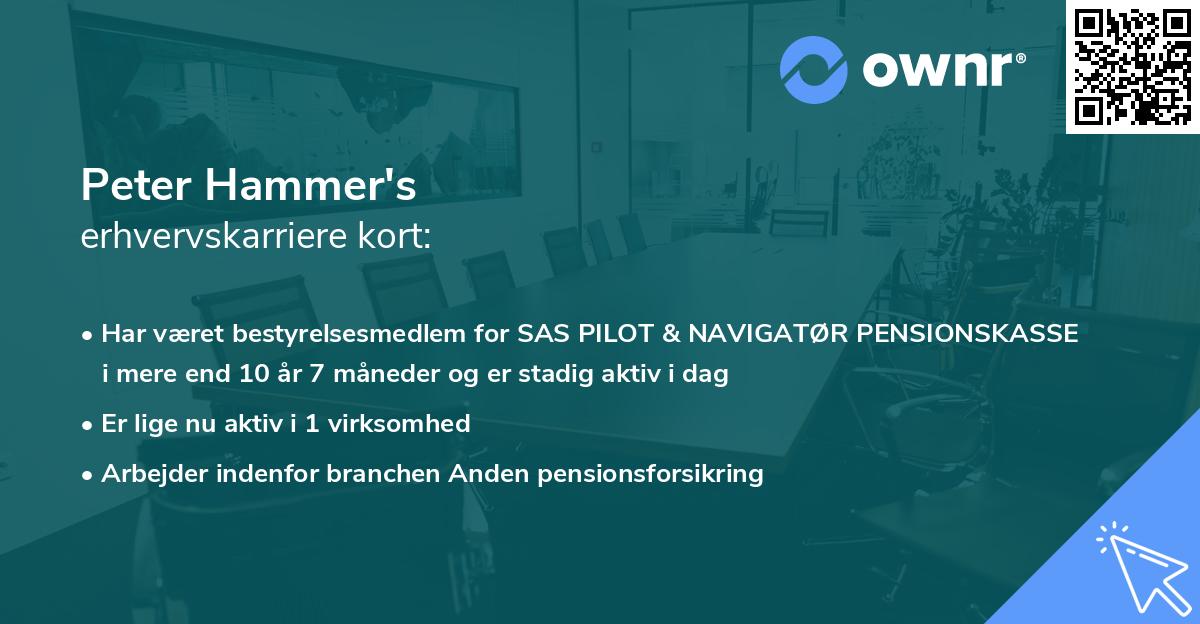 Peter Hammer's erhvervskarriere kort