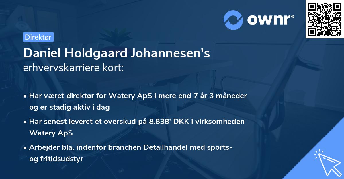 Daniel Holdgaard Johannesen's erhvervskarriere kort