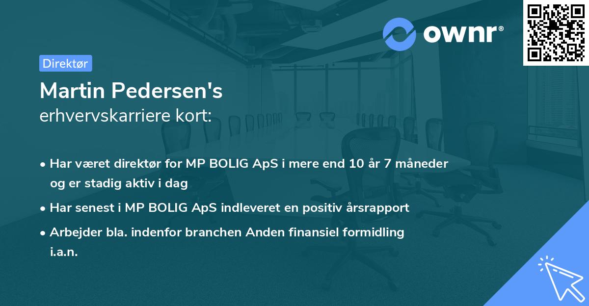 Martin Pedersen's erhvervskarriere kort