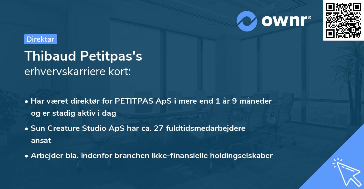 Thibaud Petitpas's erhvervskarriere kort