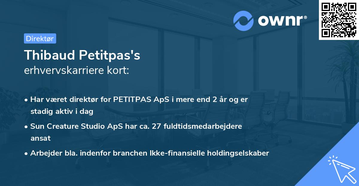 Thibaud Petitpas's erhvervskarriere kort