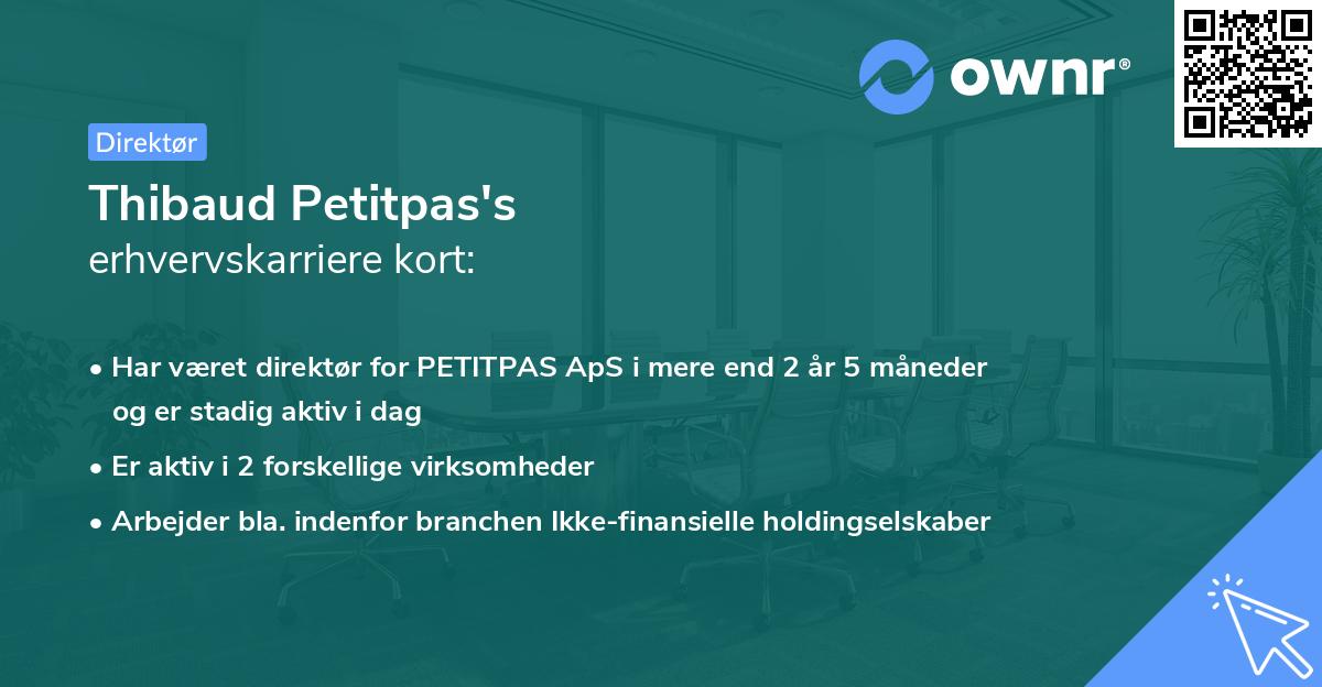 Thibaud Petitpas's erhvervskarriere kort