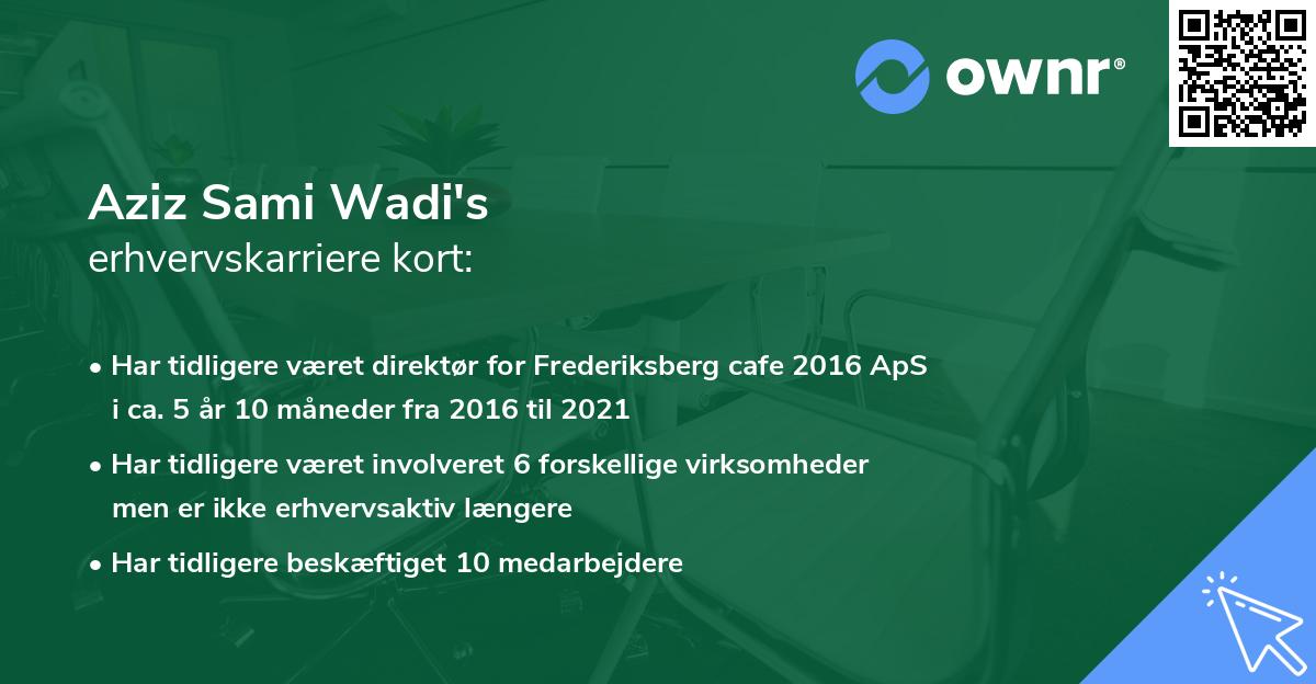 Aziz Sami Wadi's erhvervskarriere kort