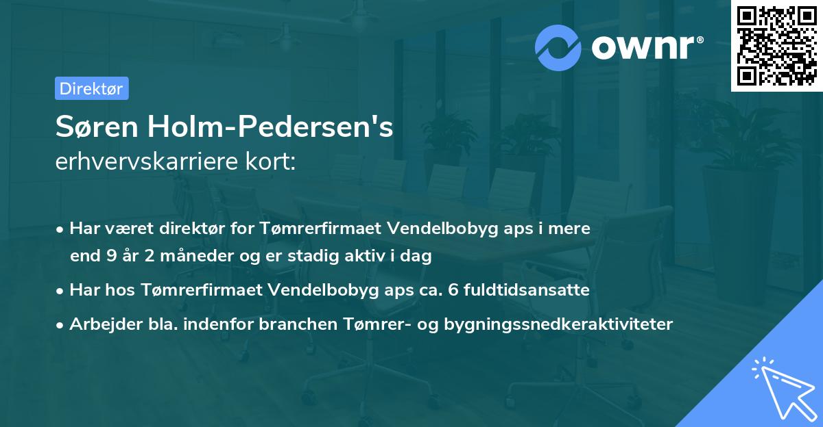 Søren Holm-Pedersen's erhvervskarriere kort