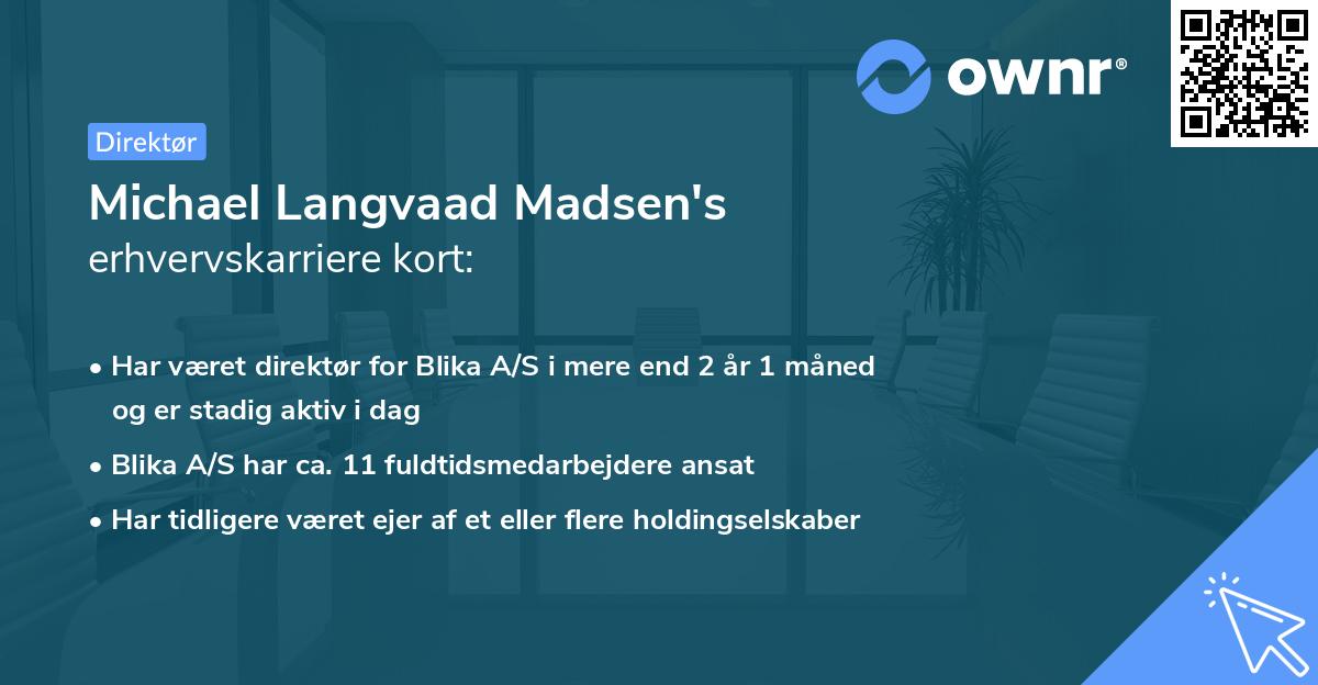 Michael Langvaad Madsen's erhvervskarriere kort