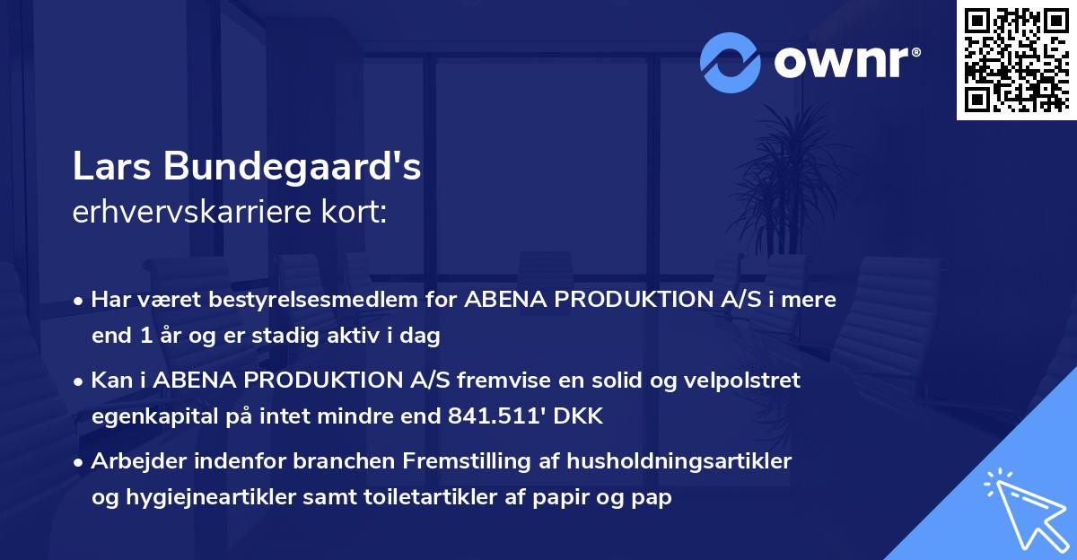 Lars Bundegaard's erhvervskarriere kort