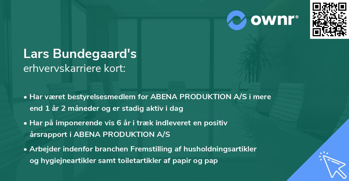 Lars Bundegaard's erhvervskarriere kort