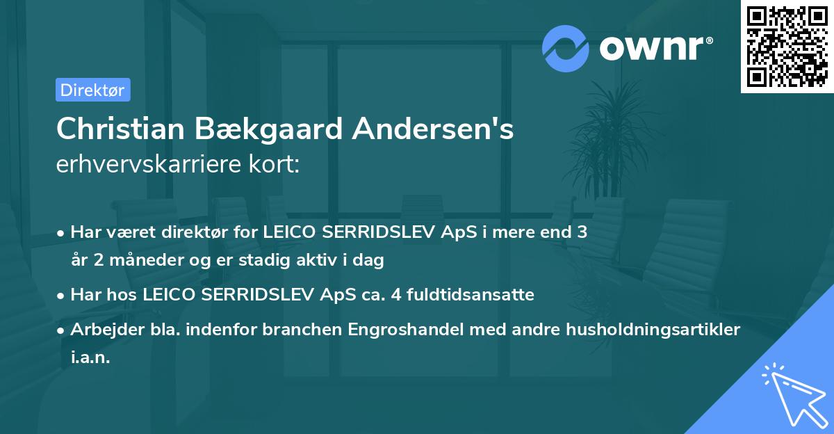 Christian Bækgaard Andersen's erhvervskarriere kort