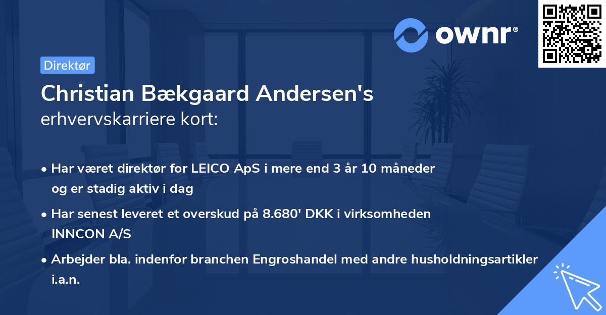 Christian Bækgaard Andersen's erhvervskarriere kort