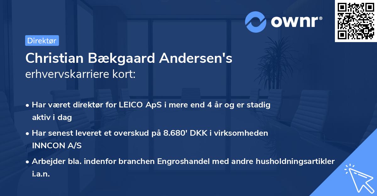 Christian Bækgaard Andersen's erhvervskarriere kort