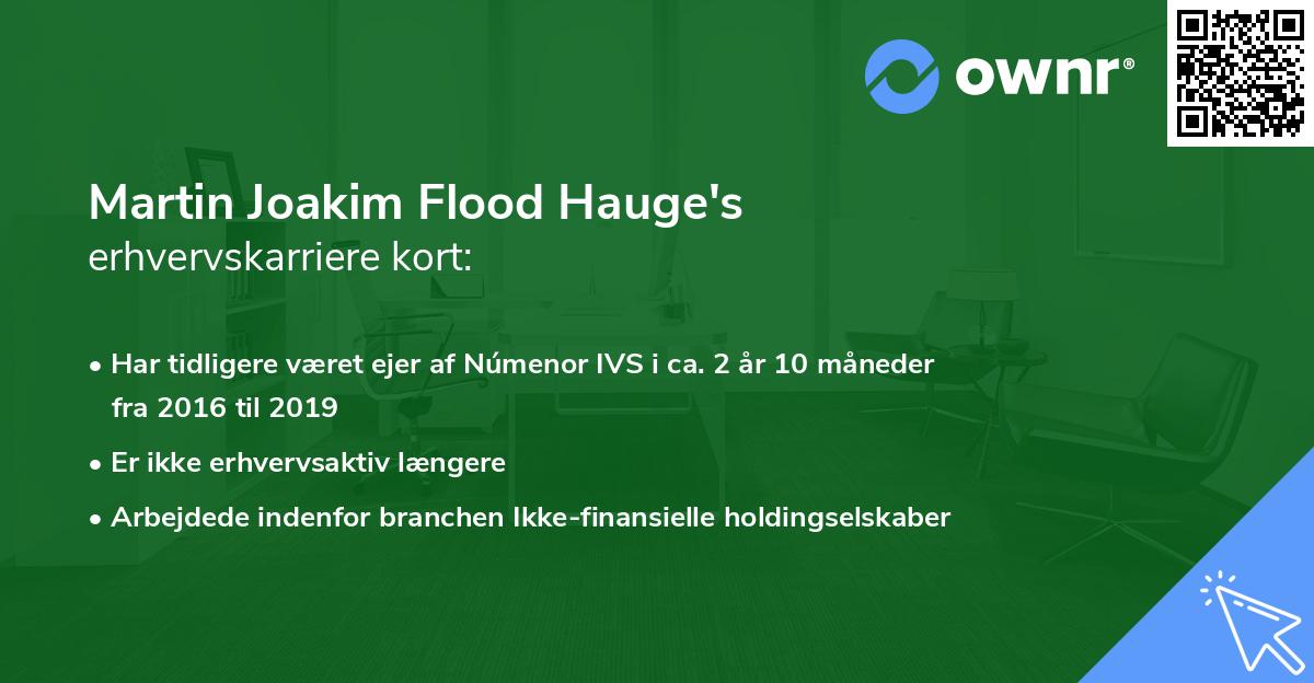 Martin Joakim Flood Hauge's erhvervskarriere kort
