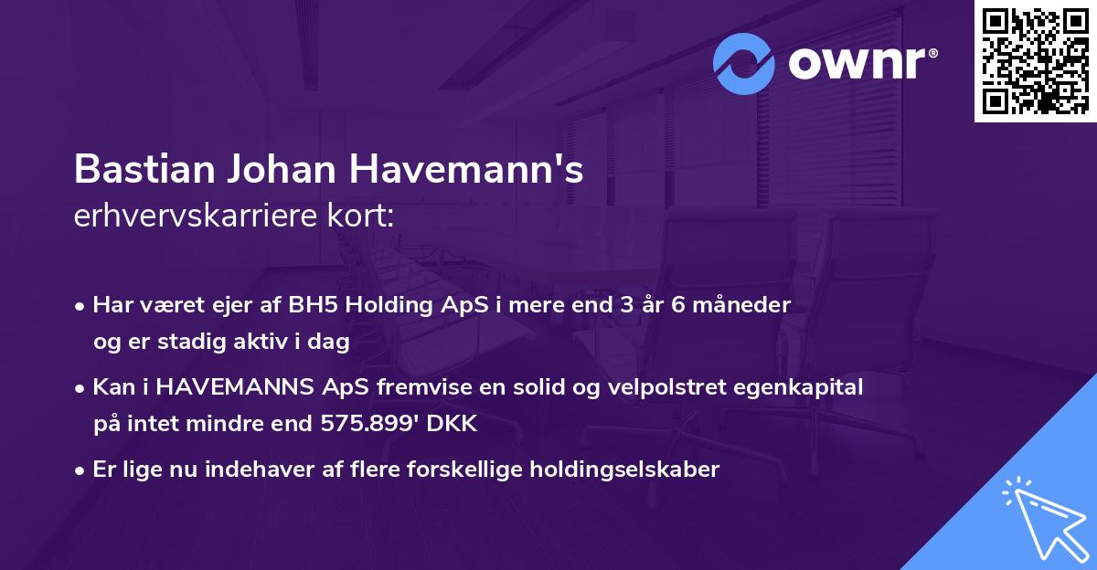 Bastian Johan Havemann's erhvervskarriere kort