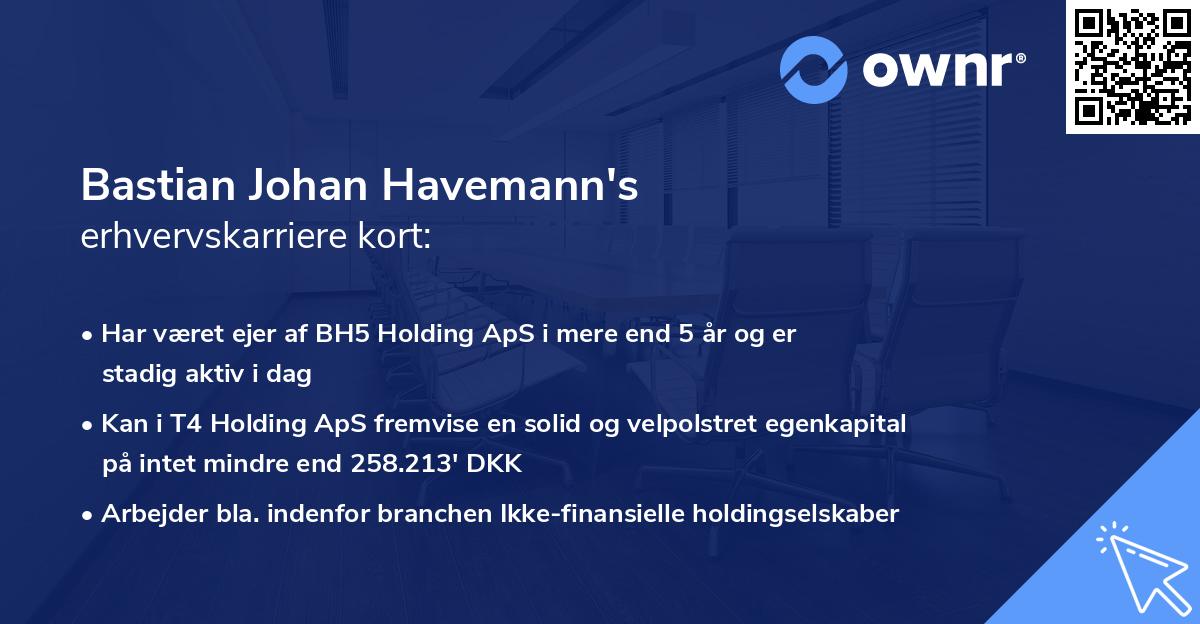 Bastian Johan Havemann's erhvervskarriere kort