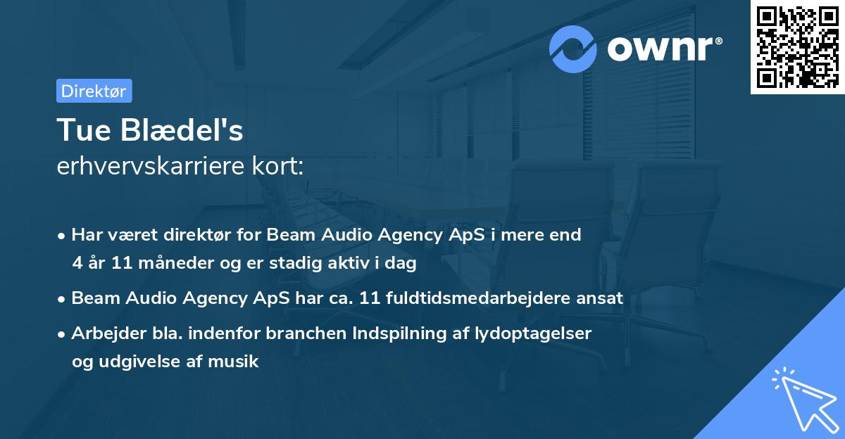 Tue Blædel's erhvervskarriere kort