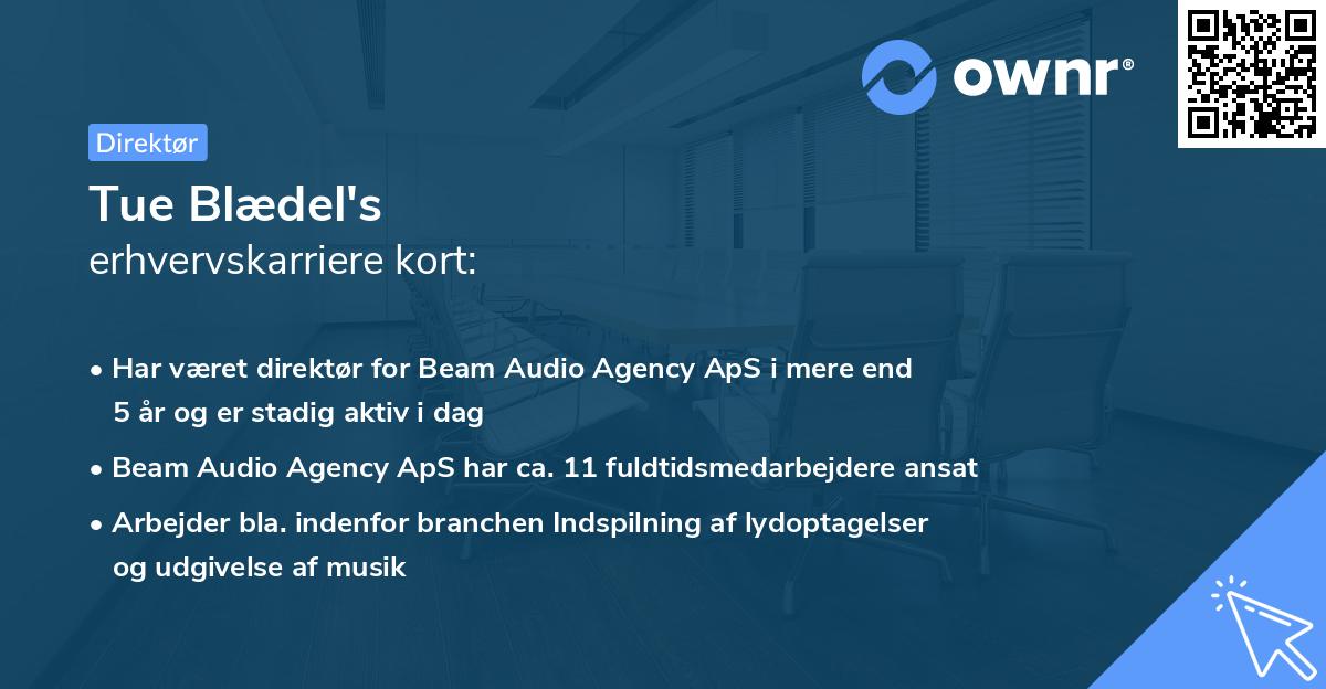 Tue Blædel's erhvervskarriere kort
